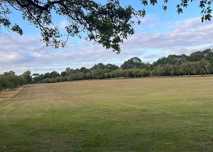 公寓 Cherry Blossom Loft 哈罗盖特