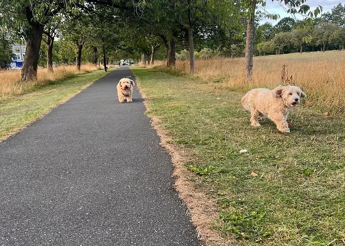 Daire Cherry Blossom Loft *