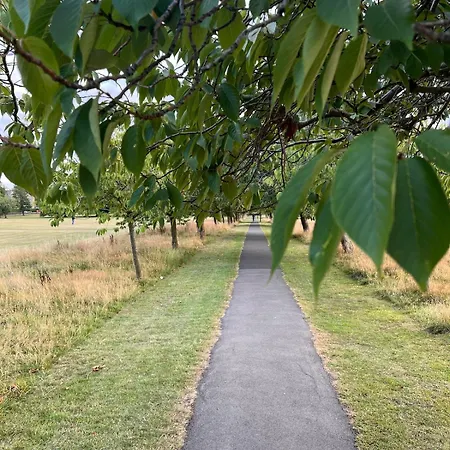 Cherry Blossom Loft *